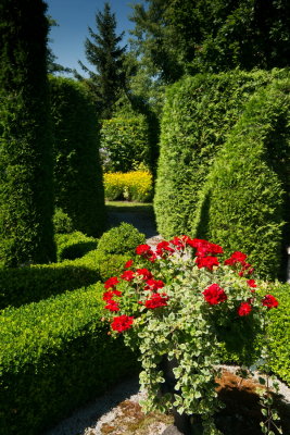 s140724-03-Jardin des Curiosites.jpg
