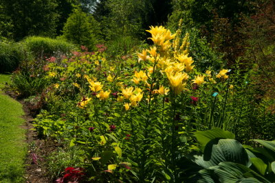 s140724-34-Jardin des Curiosites.jpg