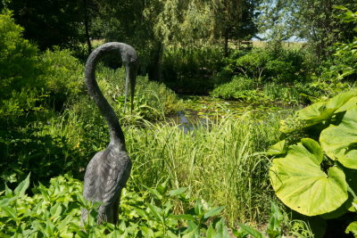 s140724-38-Jardin des Curiosites.jpg