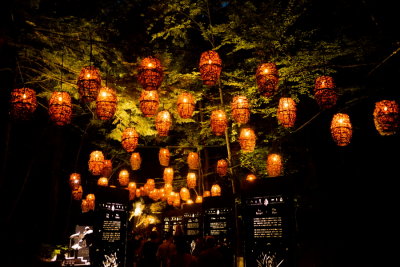 140810-21-Foresta Lumina - Coaticook.jpg