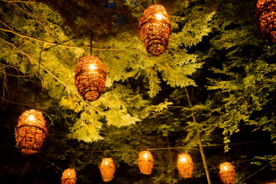 140810-22-Foresta Lumina - Coaticook.jpg