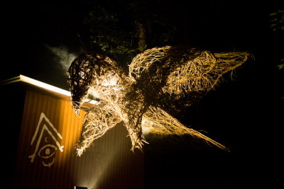 140810-24-Foresta Lumina - Coaticook.jpg