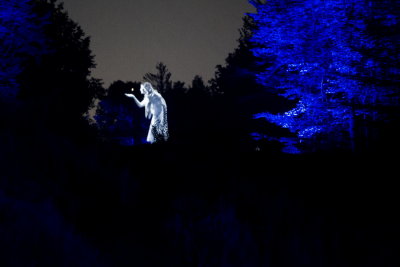140810-28-Foresta Lumina - Coaticook.jpg