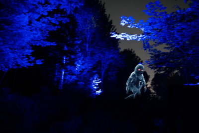140810-30-Foresta Lumina - Coaticook.jpg