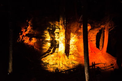 140810-32-Foresta Lumina - Coaticook.jpg