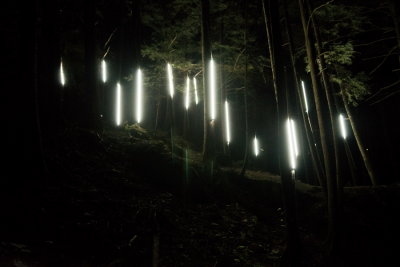 140810-33-Foresta Lumina - Coaticook.jpg