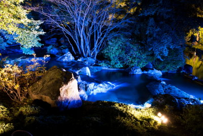 s140909-87-Jardin de lumiere - Japonais.jpg