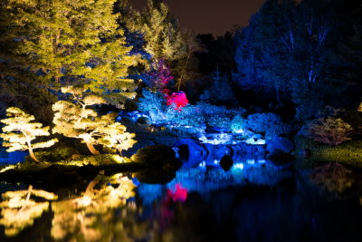s140909-91-Jardin de lumiere - Japonais.jpg