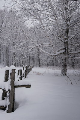 Le Québec en Hiver / Quebec in Winter