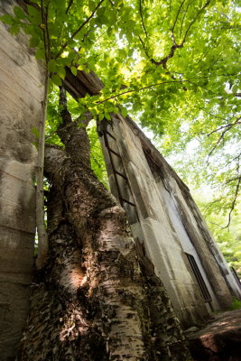 150703-12-Parc de la Gatineau - Ruines Carbide Willson.jpg
