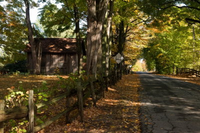2015-01-Automne  Pigeon Hill 12x18.jpg