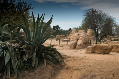161005-511-Agrigento - vallee des temples.jpg