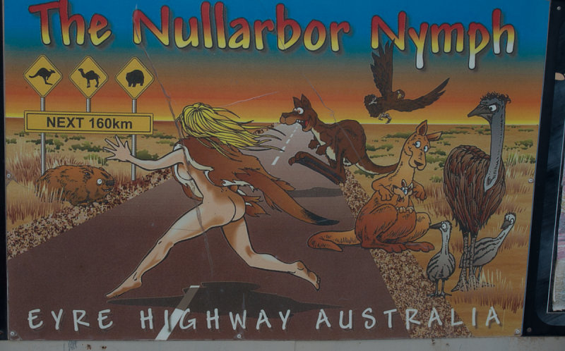Nullabor Nymph