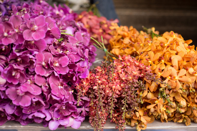 bangkok flower market-13.jpg