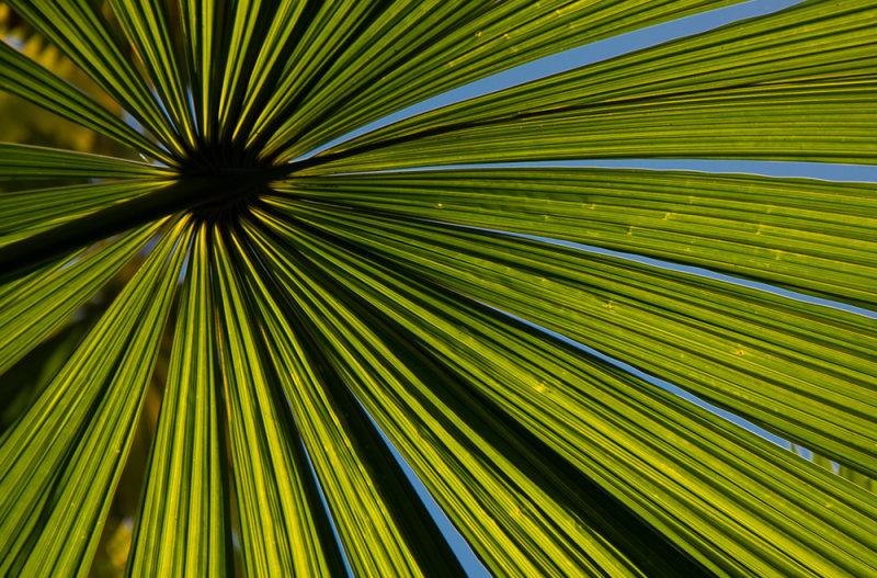 Far-north-queensland-5.jpg