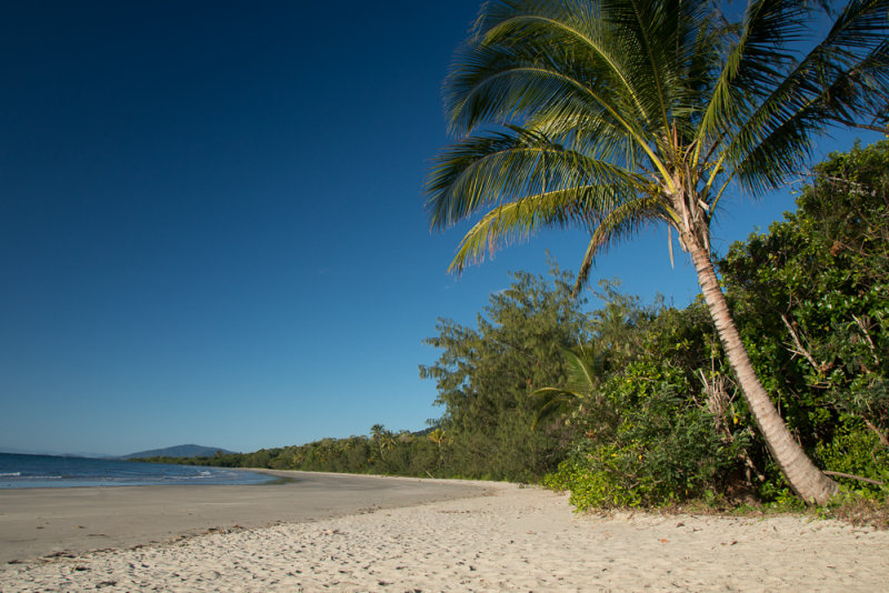 Cape-Tribulation-FNQ-queensland-3.jpg