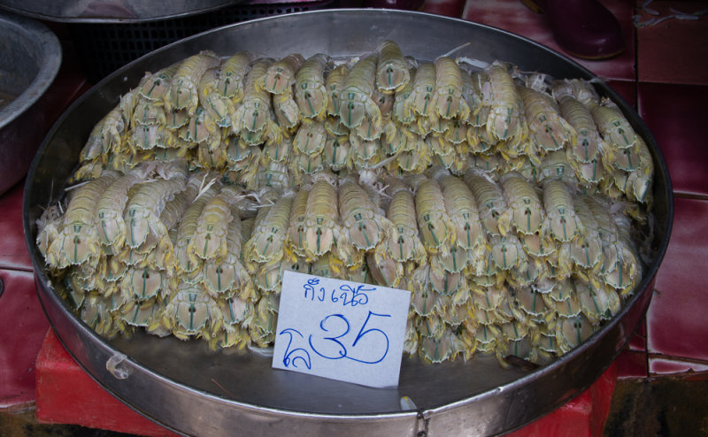 Huge prawns at 35 baht/kilogram