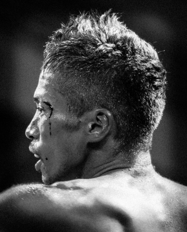 The fighter