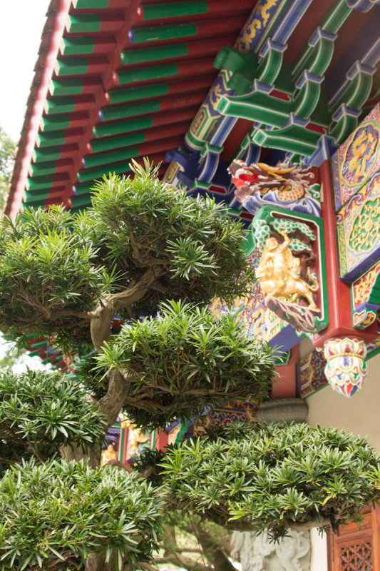 Hong_Kong_2016-18.jpg
