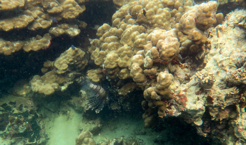 Mergui_snorkel_trip-34.jpg