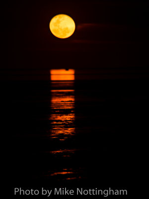 Stairway to the moon, Broome