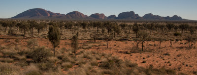 Kata Juta