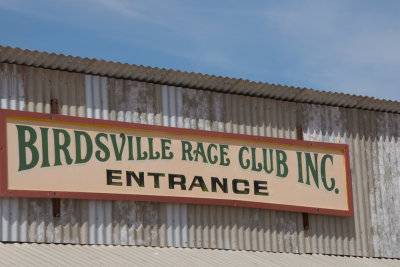 Birdsville-races-Outback-Queensland-4.jpg