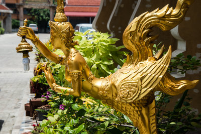 mahachai-10.jpg