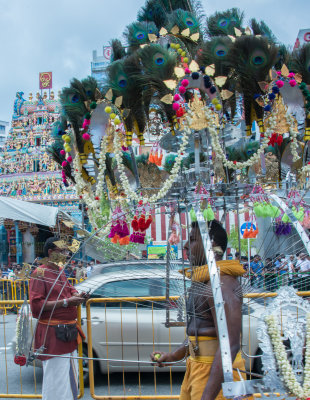 Thaipusam_Singapore-51.jpg