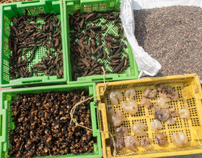 Sea-cucumbers, clam meat and pufferfish air bladders for the Chinese market.