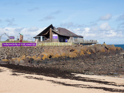 Scottish Seabird Centre, North Berwick