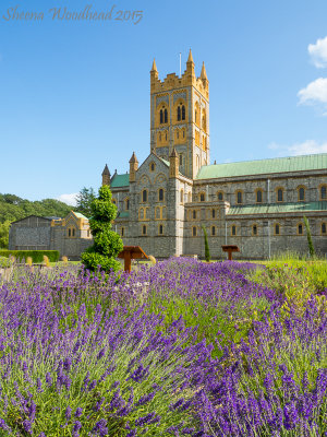 Buckfast Abbey