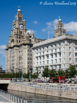 The Liver and Cunard Buildings