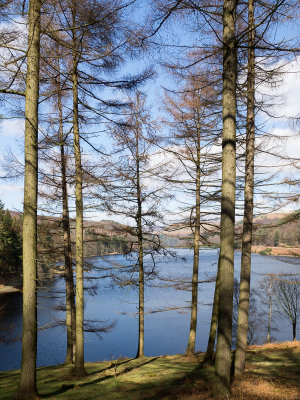 Derwent Dam