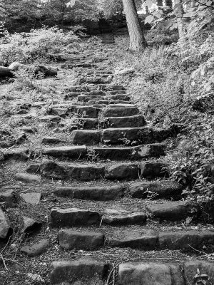 The Chevin Steps