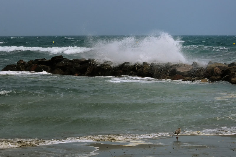 Normandie ,mer et bateaux