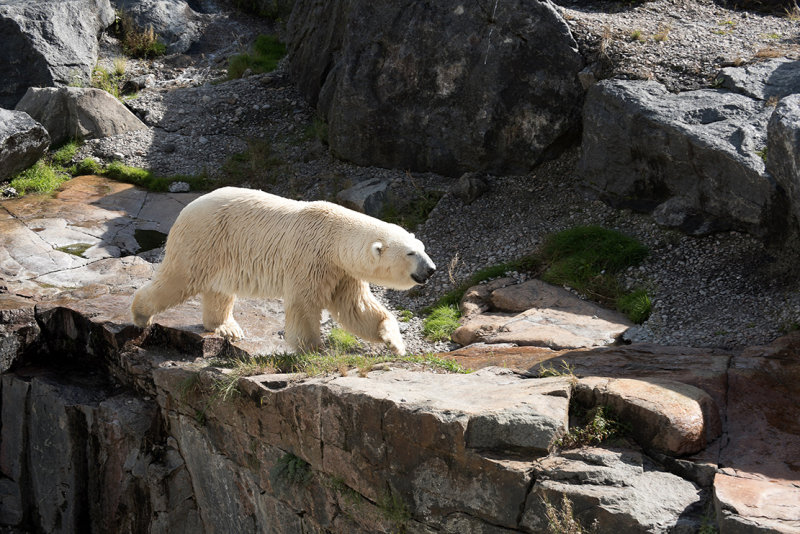 canada zoo