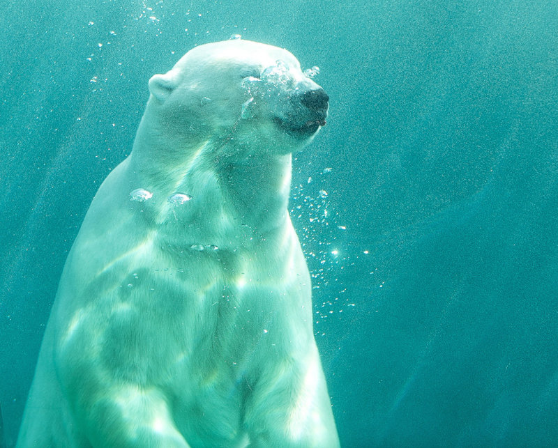 canada zoo