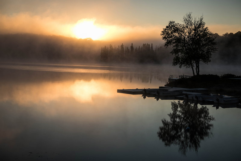 _Au petit djeuner, sur la rive du grand lac