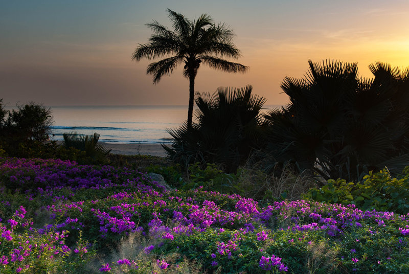 senegal