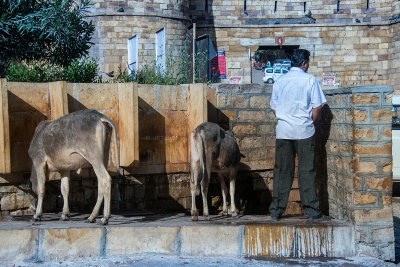 Jaisalmer ,la citadelle