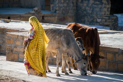 jaisalmer lac de gadsisar