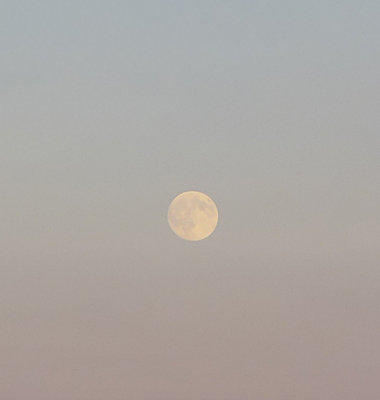 g9/33/518533/3/161431447.f0MazAYC.jpg