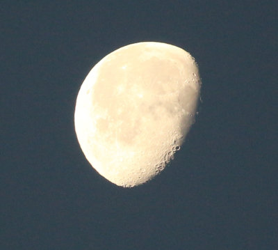 moonlight