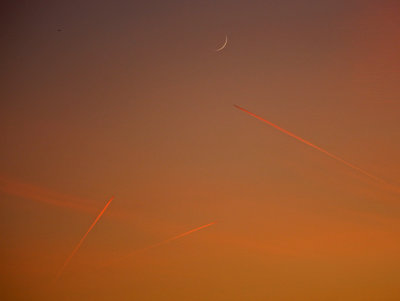 229 - sunset over aircrafts - IMG_9949d.jpg