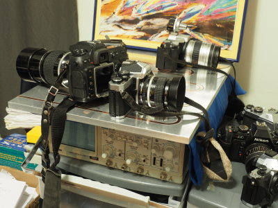 Olympus E-M5 II High Resolution Resampled to Normal.jpg