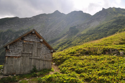 Hut near Elm