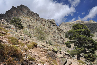 Landscape near Verghio pass