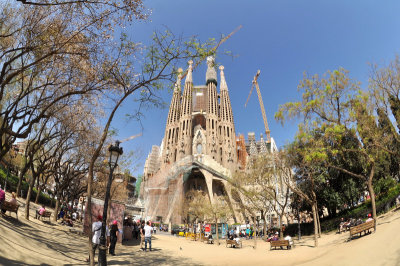 Sagrada Familia - view from park