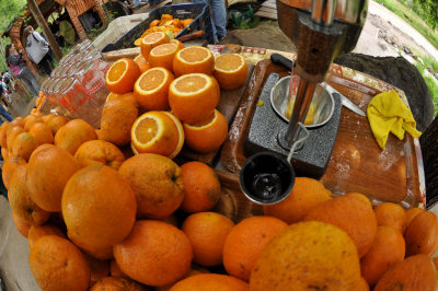 Fresh orange juice, Ilhara Valley